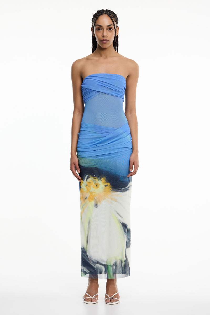 Ceira Strapless Maxi Dress in Posy Impression