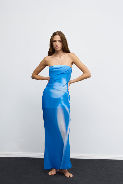 Zhavia Strapless Maxi Dress