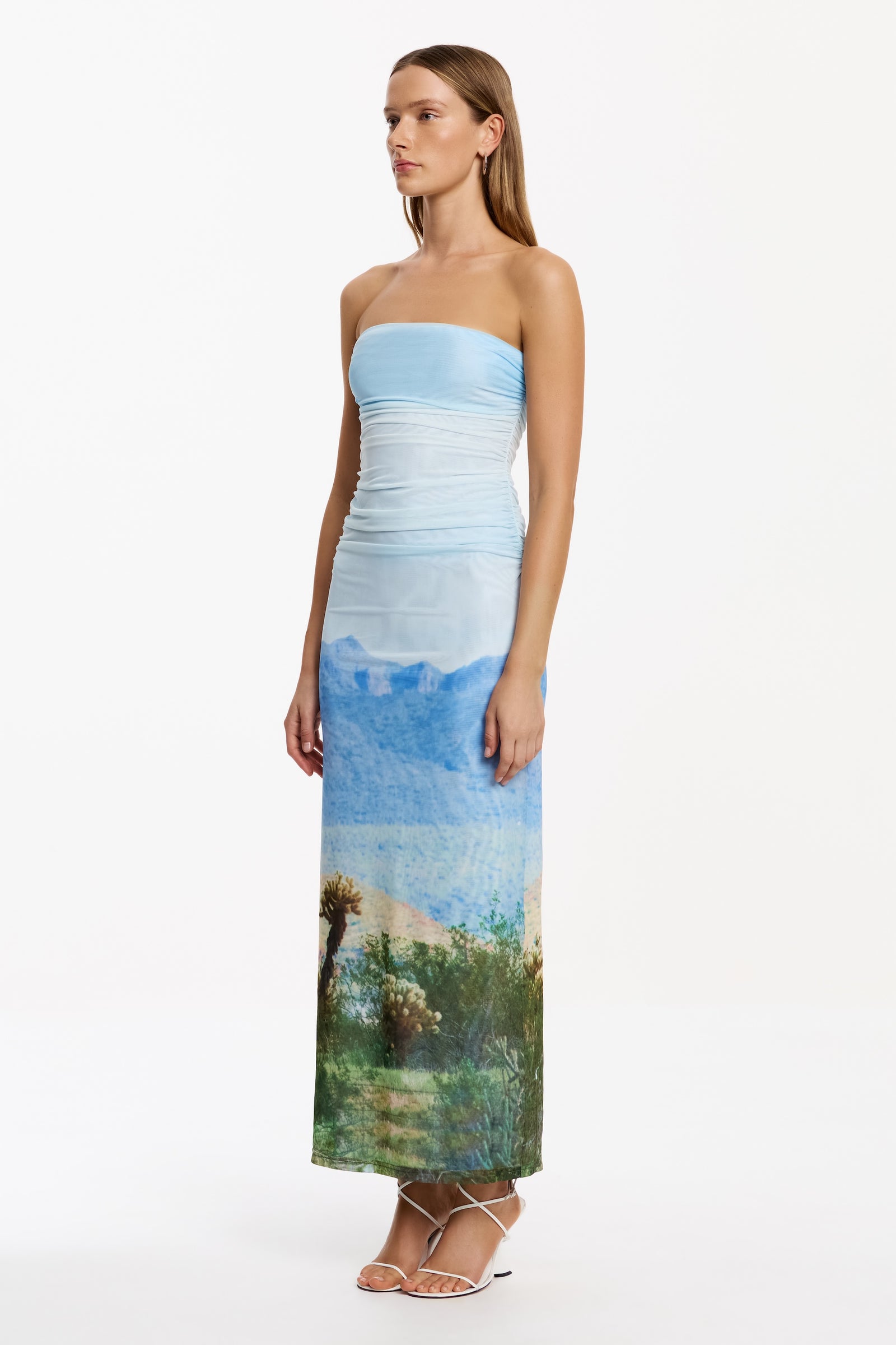 Sura Strapless Dress