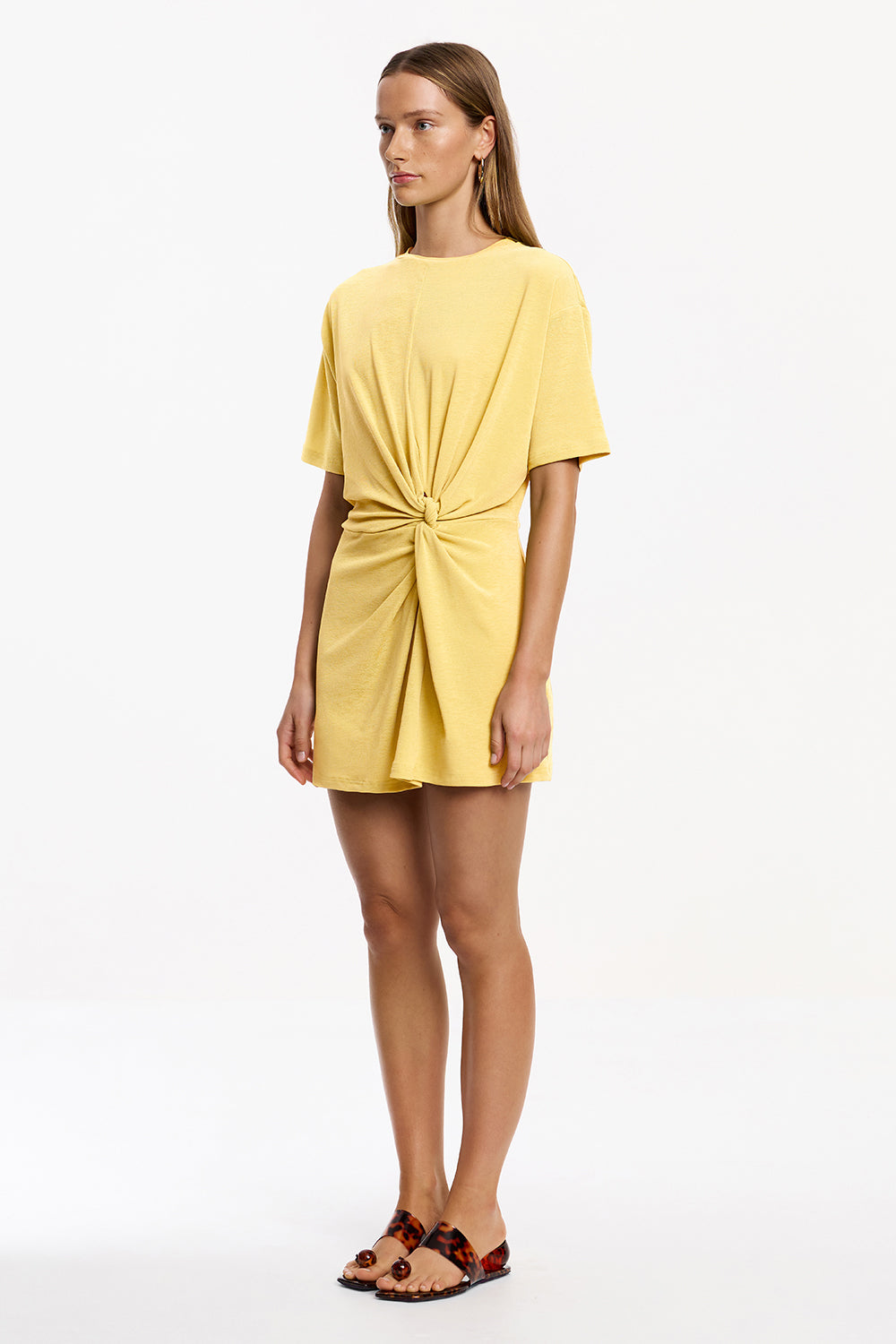 Carrey Mini Dress
