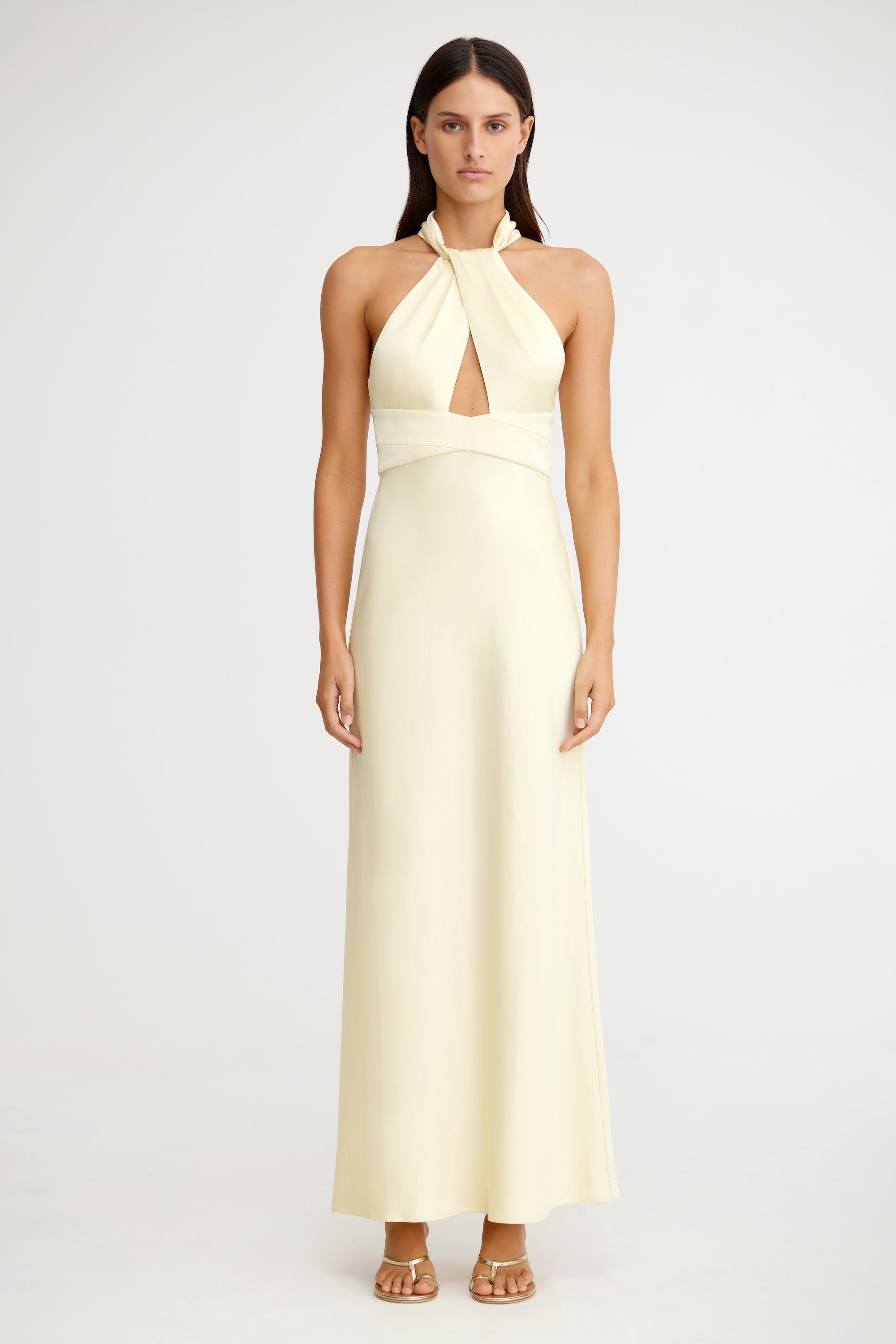 Danika Sleeveless Dress