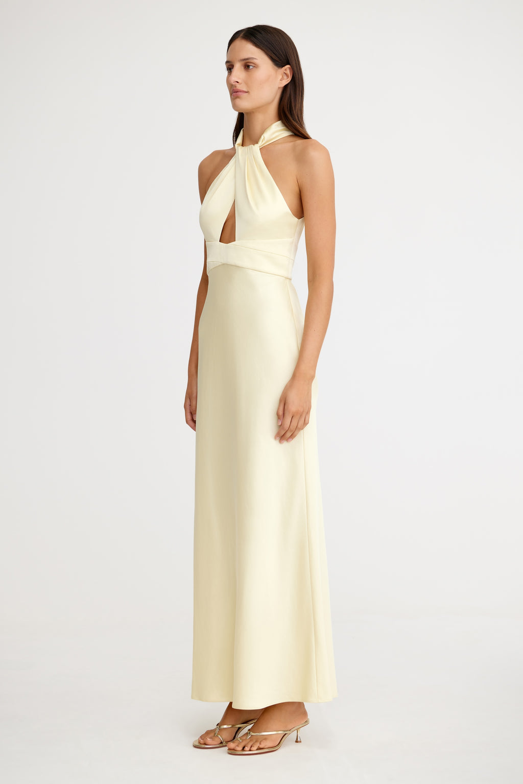 Danika Sleeveless Dress