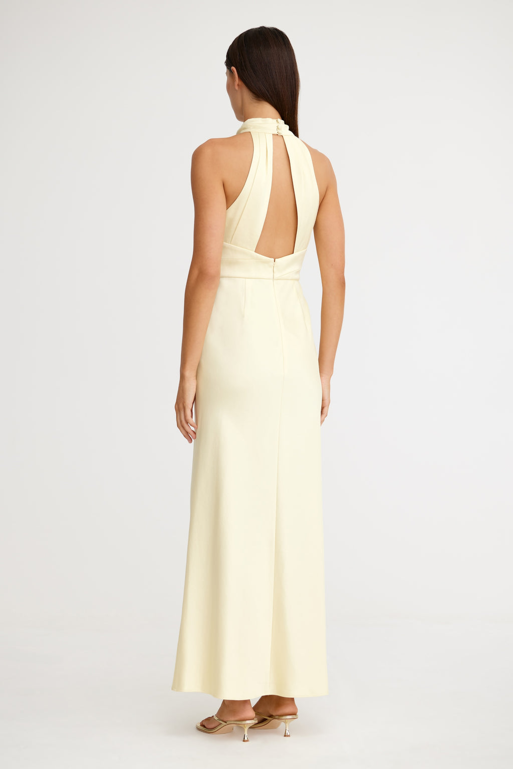 Danika Sleeveless Dress