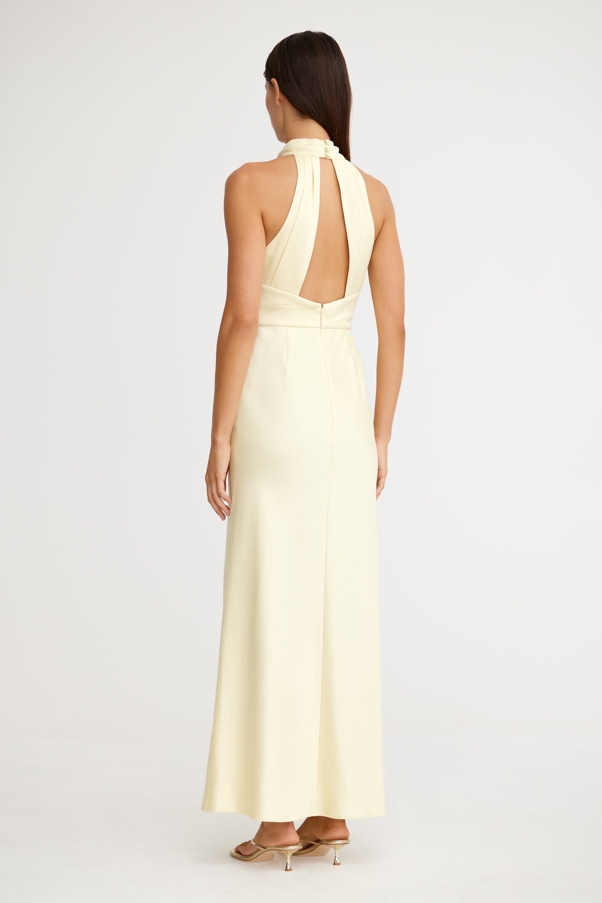 Danika Sleeveless Dress