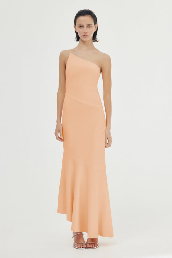 TORI DRESS